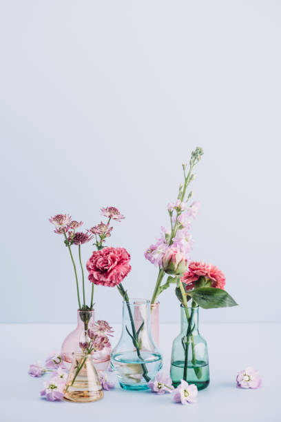 istock Flower arrangement in pastel 683307424