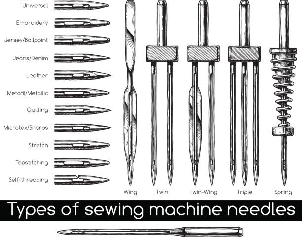 Types Of Sewing Machine Needles Stock Illustration - Download Image Now -  Engraving, Tailor, Arts Culture and Entertainment - iStock