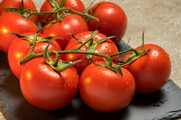 istock red ripe wet whole tomatoes 683323176