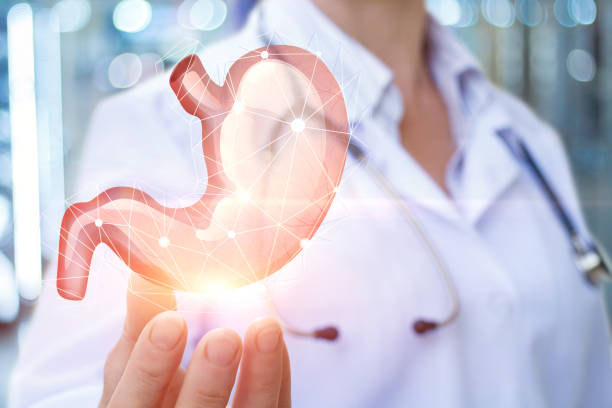 istock Doctor shows healthy stomach . 683326970