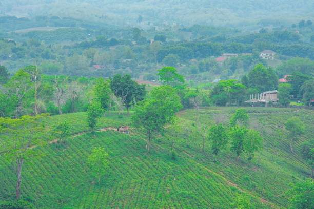 istock mountain and countryside landscape view in asia 683327154