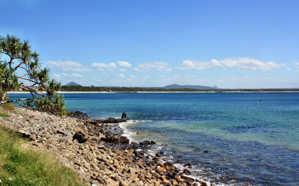 istock Noosa National Park 683329684