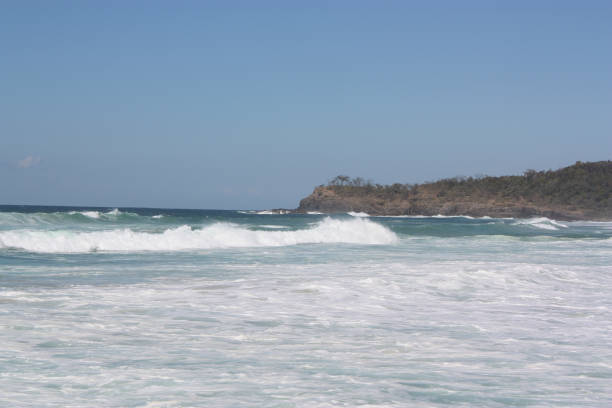 istock Noosa National Park 683333540