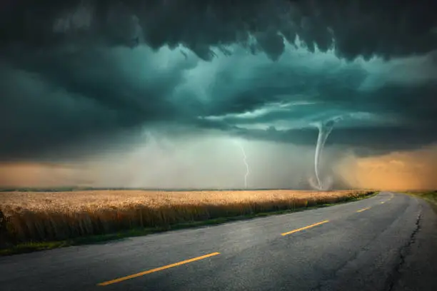 Driving on asphalt road towards the dangerous tornado storm with lightning bolt through the cultivated fields of wheat crops.