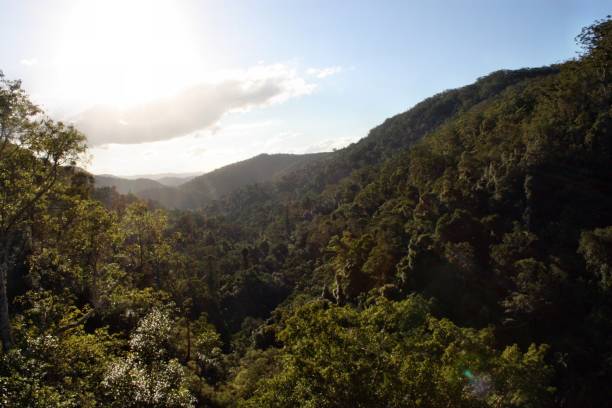 istock Amazing sunset view in Kondalilla National Park, 683334136