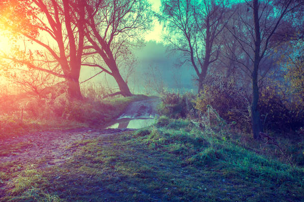 istock Misty autumn landscape at sunrise 683339474