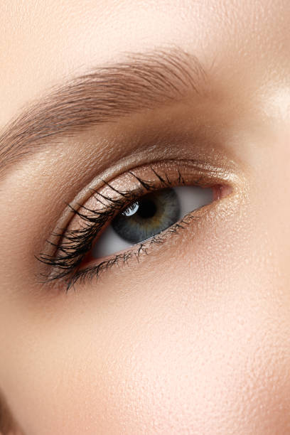 istock Macro shot of woman's beautiful eye with extremely long eyelashe 683343538