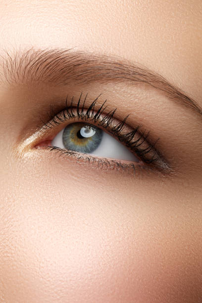 istock Macro shot of woman's beautiful eye with extremely long eyelashe 683343588