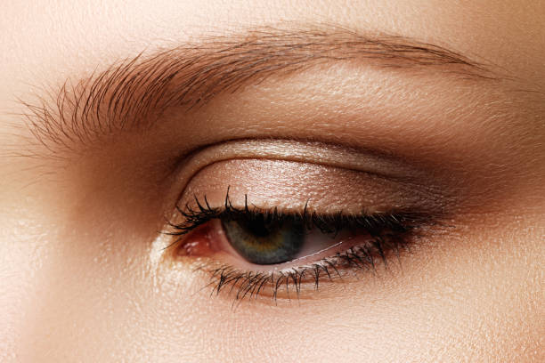 istock Eye makeup. Beautiful eyes make-up. Holiday makeup detail. Long 683343590