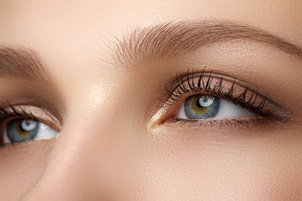 istock Macro shot of woman's beautiful eye with extremely long eyelashe 683343592