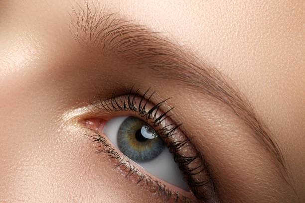 istock Eye makeup. Beautiful eyes make-up. Holiday makeup detail. Long 683343610