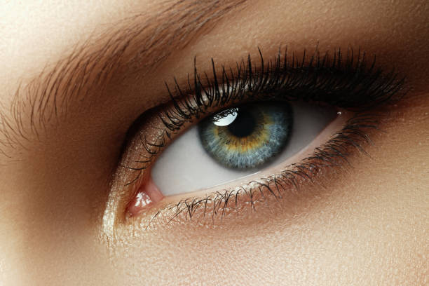 istock Eye makeup. Beautiful eyes make-up. Holiday makeup detail. Long 683343624