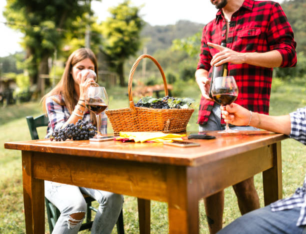 istock friends do a wine tasting in the vineyard 683356250