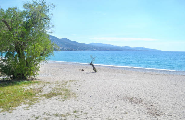 istock Verga beach Kalamata Greece 683359810