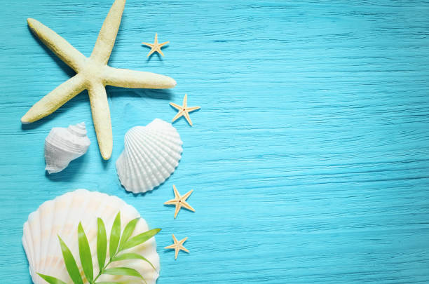 istock Summer sea background - shells, star on a wooden blue background 683362836