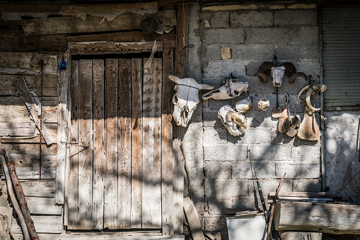 Old Stones village house door with animal head skeletons.