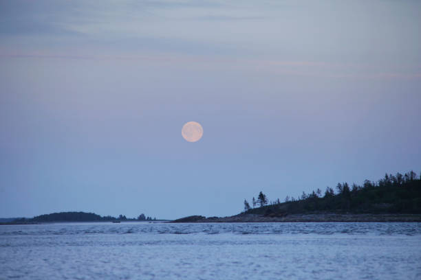 istock Moon over the islands and forests 683369960