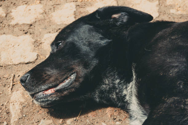 \