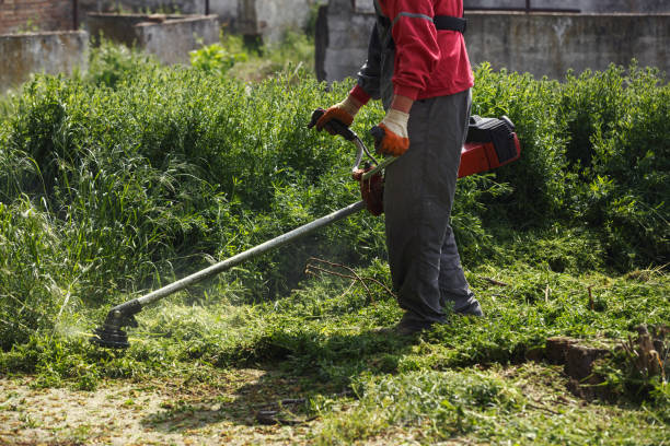 istock lawn mower worker cutting grass in green field 683390862