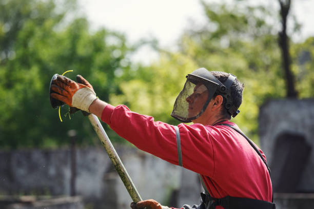istock Man repair the string trimmer closeup 683390966
