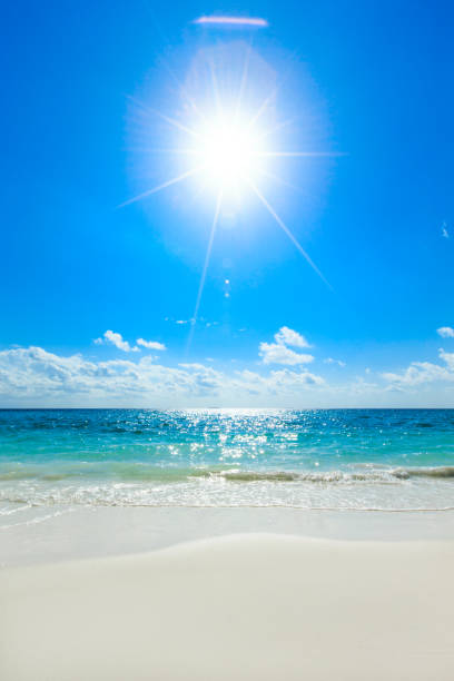 istock tropical beach in Maldives 683394714