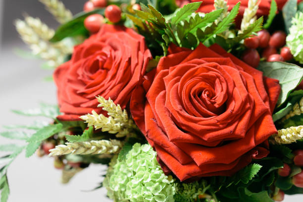 istock Two red roses in bloom on a green bouquet 683398764