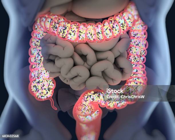 Gut Bacteria Microbiome Bacteria Inside The Large Intestine Concept Representation 3d Illustration Stock Photo - Download Image Now