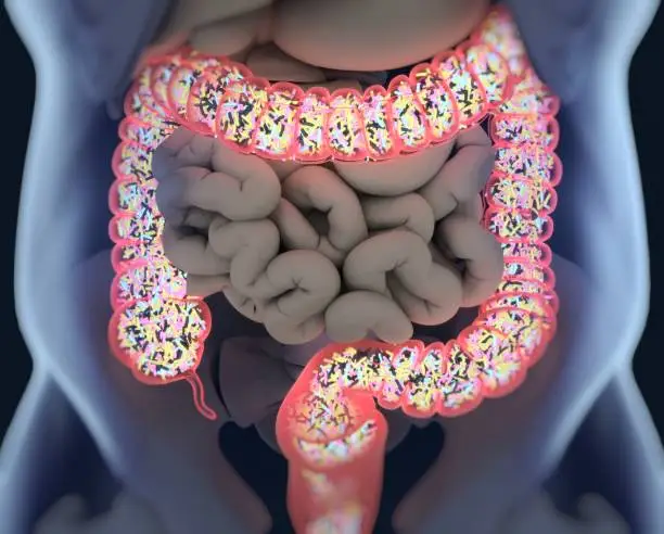 Photo of Gut bacteria, microbiome. Bacteria inside the large intestine, concept, representation. 3D illustration.