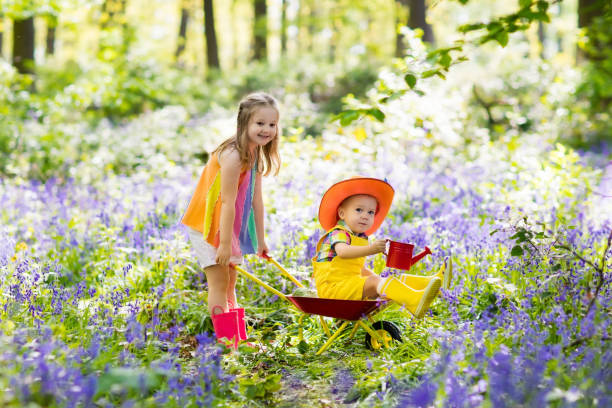 Kids with bluebell flowers, garden tools and wheelbarrow. Boy and girl gardening. Children play outdoor in bluebells, work, plant and water blue bell flower bed. Family fun in summer forest.