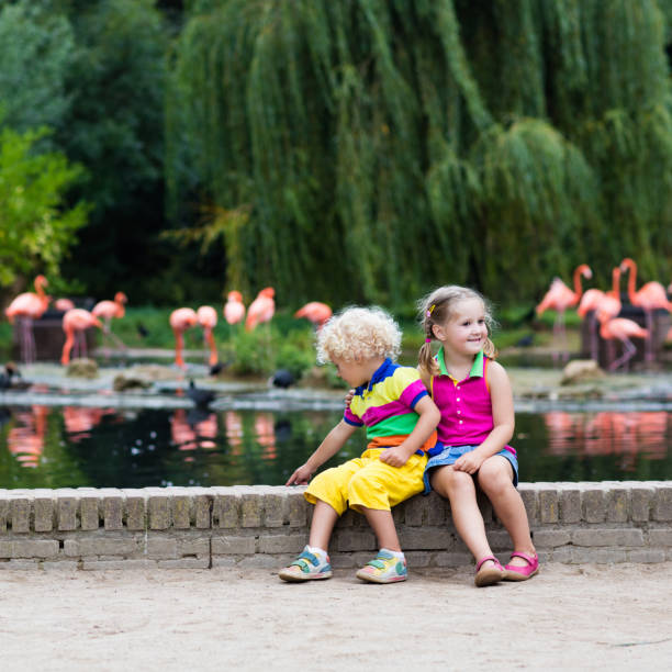 istock Children watching animals at the zoo 683412014
