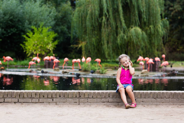 istock Child watching animals and birds at the zoo 683415532