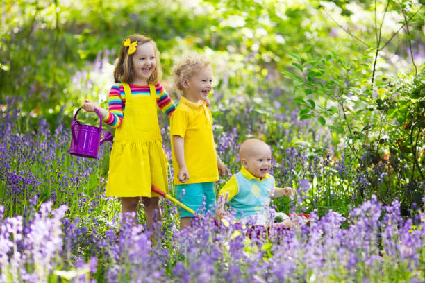 istock Kids in bluebell flower forest in summer 683417964