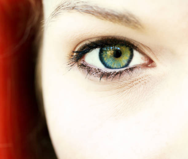 istock Eye of a woman 683418140
