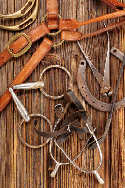 istock Set of horse equipment 683418208