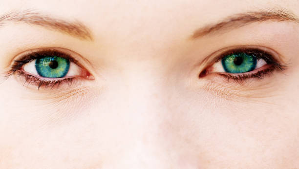 istock Eyes of a woman 683418292