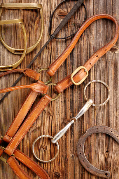 istock Set of horse equipment 683418396