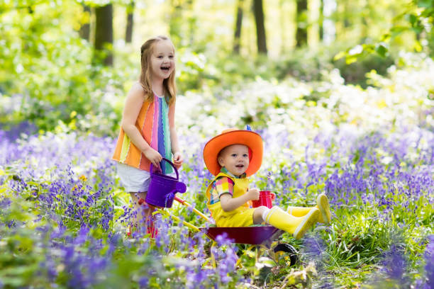 istock Kids with bluebell flowers, garden tools 683418804