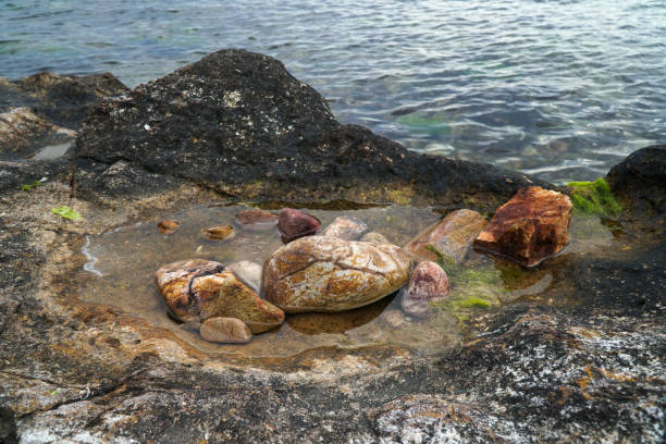 istock Pebbles in Puddle Near The Sea 683425380