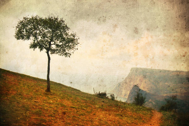 istock Lonely tree in aged textured art background. Depression and melancholy mood. Abstract loneliness and sadness. Shabby and vintage effect 683441582