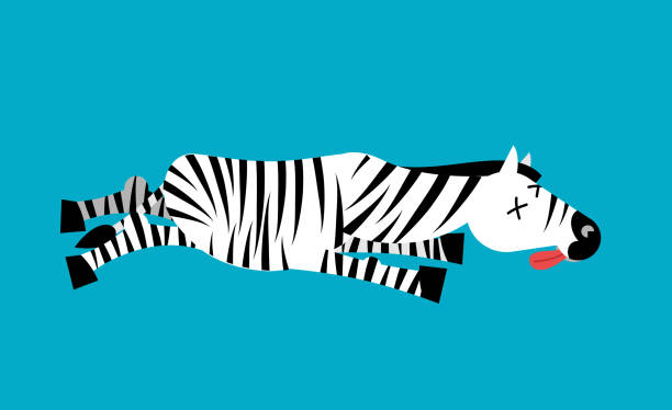 istock Dead Zebra. African animal deceased. Corpse of wild beast 683444196