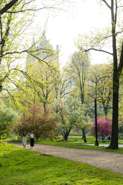 This is a royalty free stock color photograph of two casually dressed women walking together along a pedestrian pathway in Central Park, an urban travel destination in the Manhattan borough of New York City, USA. The Eldorado building outline is visible through the trees. Photographed with a Nikon D800 DSLR in spring.