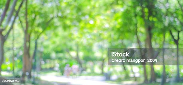 Blur Park With Bokeh Light Background Nature Garden Spring And Summer Season Banner Stock Photo - Download Image Now