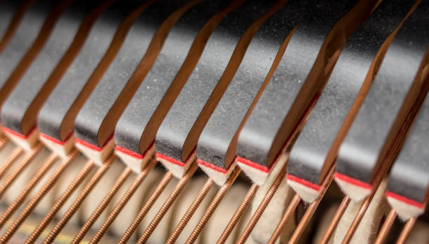 istock Piano head dampers closeup. 683455378