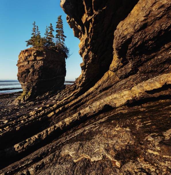 istock Bay of Fundy Flower Pot 683455570