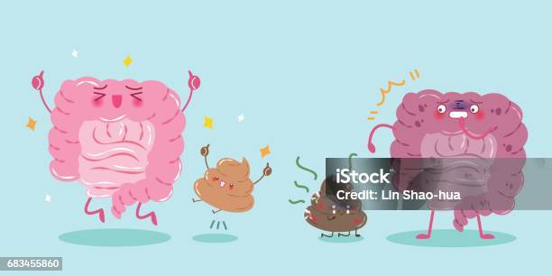 Intestine With Health Concept Stock Illustration - Download Image Now - Blood, Cancer - Illness, Stool