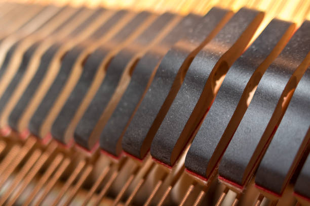 istock Piano head dampers closeup. 683458114