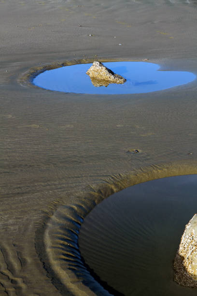 Cuttest Puddle 2,000+ Puddle Cut Off Stock Photos, Pictures & Royalty-Free Images - iStock