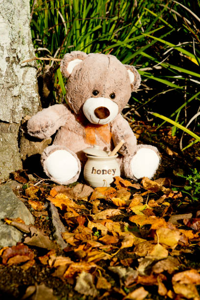 istock Teddy Bear with Honey Pot 683472160