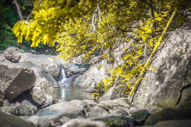 istock beautiful view of blue stream waterfall 683472422
