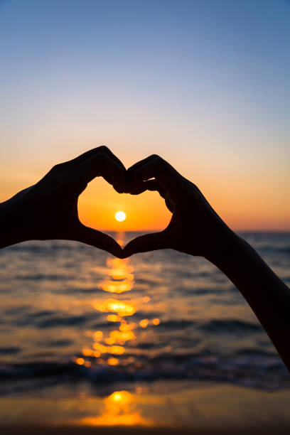 istock Female hands in heart shape 683472840